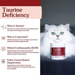 Fera Pets Cardiac Support Supplement For Dogs And Cats, Improves Blood Flow, Energy – With Taurine, CoQ10, Organic Hawthorn Berry, Supports Cardiovascular Heart Health – 60 Capsules 13 Fera Pets Cardiac Support Supplement For Dogs And Cats, Improves Blood Flow, Energy – With Taurine, CoQ10, Organic Hawthorn Berry, Supports Cardiovascular Heart Health – 60 Capsules -Zoo Shop 51gtQrfibvL
