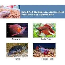 Amzey Dried Large Red Shrimp 198 Grams - Sun Dried 7 Oz- Aquatic Turtle Food, Betta Fish Food, Tropical Fish Food, Crab Food, Reptile Food, Aquatic Fish Foods, Aquatic Pets Food -Zoo Shop 51gtmYuiQnL