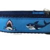Ocean Dog Collar, Caninedesign, Quick Release Buckle, 1 Inch Wide, Adjustable, Nylon, Medium And Large (Sharks, Large 15-22") -Zoo Shop 51h3oJT9vOL