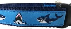 Ocean Dog Collar, Caninedesign, Quick Release Buckle, 1 Inch Wide, Adjustable, Nylon, Medium And Large (Sharks, Large 15-22") -Zoo Shop 51h3oJT9vOL. AC