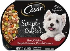 CESAR Simply Crafted Adult Wet Dog Food Meal Topper, Chicken, Carrots & Green Beans, (10) 1.3 Oz. Tubs -Zoo Shop 51h4gctlnsL. AC 1