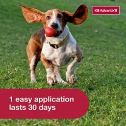 K9 Advantix II Medium Dog Vet-Recommended Flea, Tick & Mosquito Treatment & Prevention | Dogs 11-20 Lbs. | 2-Mo Supply -Zoo Shop 51h5B7pC7LL
