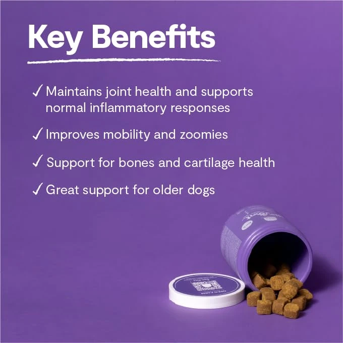 Open Farm Hip & Joint Chews, Dog Supplement, Dog Vitamins, Supports Joint Health And Mobility Using Traceable And Vet-Approved Ingredients, 12.7 Oz, 90 Count 5 Open Farm Hip & Joint Chews, Dog Supplement, Dog Vitamins, Supports Joint Health And Mobility Using Traceable And Vet-Approved Ingredients, 12.7 Oz, 90 Count - Image 3