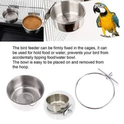 Ymmsuuie 2 Pack Bird Food Bowl With 1 Fruit Skewer Holder, Stainless Steel Parrot Feeder With Clamp For Cage,Stainless Steel Bowls For Cats And Dog, Bird Cage Food Water Bowls 13 Ymmsuuie 2 Pack Bird Food Bowl With 1 Fruit Skewer Holder, Stainless Steel Parrot Feeder With Clamp For Cage,Stainless Steel Bowls For Cats And Dog, Bird Cage Food Water Bowls -Zoo Shop 51hV80I8PmL