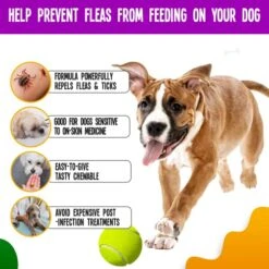 True Tails Flea And Tick Prevention For Dogs – 90 Bacon Soft Chews Dog Flea & Tick Control – Natural Flea And Tick Treatment With Garlic, Hemp, Vitamin B Complex – With No Preservatives -Zoo Shop 51hfsYv2LHL