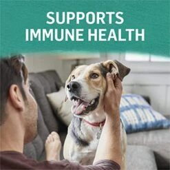 Purina Beyond Cod, Salmon And Sweet Potato Natural Ground Grain Free Wet Dog Food Pate - (12) 13 Oz. Cans -Zoo Shop 51hgq7NMZgL