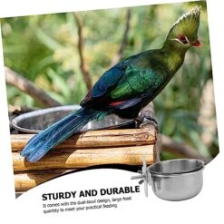 POPETPOP 1 Set Parrot Food Box Bird Feeder Food Chew Toys Food Toy Bird Food Dishes Chew Toys For Dogs Food Water Holder Parrot Eating Bowl Parrot Feeder Parrot Supply Tail Animal Cage -Zoo Shop 51iCqf2kPaL