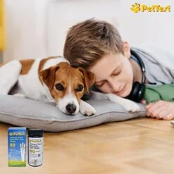 UTI Test Strips For Dogs & Cats Detect A Urinary Tract Infection In Your Pet. Use PetTest Cat & Dog UTI Test Strips At Home For An Easy Urine Test. UTI Test For Cats & Dogs Help Manage Pet Health. -Zoo Shop 51iOmoUjtML