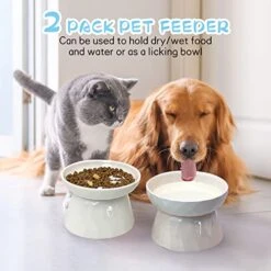BNOSDM Ceramic Slow Feeder Cat Bowl Elevated Cat Slow Eating Dish Pet Dry/Wet Food And Water Bowl Set Cute Puzzle Plate For Indoor Small Dog Kitten Puppy, Set Of 2