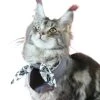 Elegant And Practical: Gray Print Cat Bib For Clean And Stylish Mealtimes (Small) 1 Elegant And Practical: Gray Print Cat Bib For Clean And Stylish Mealtimes (Small) -Zoo Shop 51iPVQe9ijL