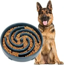 JASGOOD Slow Feeder Dogs Bowl For Large Dogs,Anti-Gulping Pet Slower Food Feeding Bowls Stop Bloat,Preventing Choking Healthy Design Dogs Bowl -Zoo Shop 51iab4UAlSL. AC