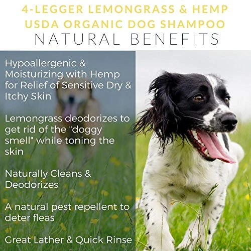 4Legger All Natural Hemp Oil Shampoo For Dogs - USDA Certified Organic Dog Shampoo With Lemongrass Essential Oil - Moisturizing Dry Itchy Skin Dog Shampoo - Concentrated - USA - 8 Fl Oz 4 4Legger All Natural Hemp Oil Shampoo For Dogs - USDA Certified Organic Dog Shampoo With Lemongrass Essential Oil - Moisturizing Dry Itchy Skin Dog Shampoo - Concentrated - USA - 8 Fl Oz - Image 2