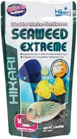 Hikari Usa Inc AHK25323 Seaweed Extreme 8.8-Ounce -Zoo Shop 51ik3PLgBIL. AC