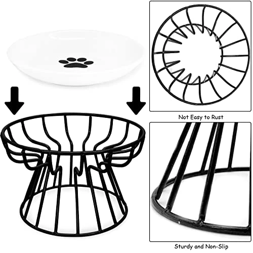 BNOSDM Ceramic Cat Bowl With Metal Stand Raised Cat Bowls Elevated Kitten Dish Pet Food And Water Feeding Station For Indoor Kitty Puppy Small Dog 5 BNOSDM Ceramic Cat Bowl With Metal Stand Raised Cat Bowls Elevated Kitten Dish Pet Food And Water Feeding Station For Indoor Kitty Puppy Small Dog - Image 3