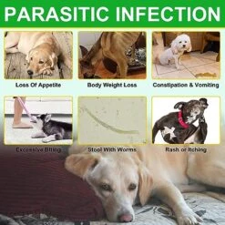 Flea & Tick Prevention For Dogs Chewable, Natural Flea And Tick Supplement For Dogs, 150 Flea And Tick Chews For Dogs, Oral Flea Pills For All Breeds And Ages Dogs -Zoo Shop 51imiO4TYVL