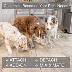 PetFusion Elevated Dog Bowls, Cat Bowls |Innovative Raised Pet Feeder With Embedded Magnets, Attach, Detach, Add On, Mix & Match |Short 4' & Tall 9' Elevated Feeder, Singles Or Pairs |12 Month Warr -Zoo Shop 51io978KjRL