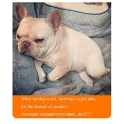 JUHAIYUAN Dog Incubator For Puppies, Puppy Incubator, Pet Incubator Box, Large PET Brooder Nursery Dog, Specially Designed For Pet Pups, 24X24X39 Inch -Zoo Shop 51iprd7RDqL