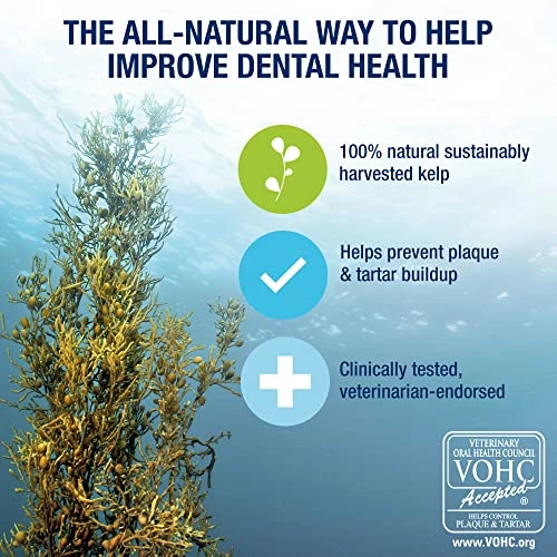 ProDen PlaqueOff Powder For Pets - Cat & Dog Breath Freshener - Plaque & Tartar Remover For Pet Oral Care - Supports Healthy Mouth For Dogs - 60g 4 ProDen PlaqueOff Powder For Pets - Cat & Dog Breath Freshener - Plaque & Tartar Remover For Pet Oral Care - Supports Healthy Mouth For Dogs - 60g - Image 2