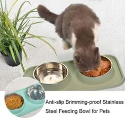 Balacoo Stainless Steel Cat Bowls Stainless Steel Dog Bowls Pet Water Bowl Food Feeder Bowl Cat Food Bowls For Dog Cat Rabbit Bird (Random Color) Puppy Feeder Stainless Steel Cat Bowl -Zoo Shop 51j0wqlWUxL