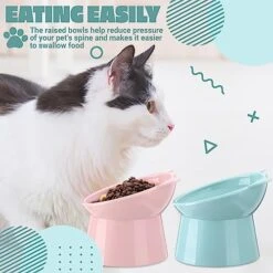 Zhehao 2 Pieces Raised Cat Bowl Tilted 15 Degrees Elevated Cat Food And Water Bowls Set Anti Vomit Dog Kitten Food Dishes Pet Feeder For Cats And Small Dogs (Green, Pink)