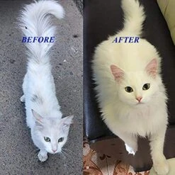 X2 Pcs(100ml) Multivitamin Daily Essential Cat Food Vitamins & Minerals Omega3, Helps Support Health, More Fat, Digestion, Skin, Coat, Allergy Immune Supplement Nourished Blood & Eye -Zoo Shop 51j9IPkDyYL