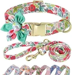 Beirui Cute Girl Dog Collar And Leash Set For Female Dogs- Floral Dog Collar With Flower For Small Medium Large Dogs Puppy, M:Neck 13-21", Leash 5FT, Purple-1 -Zoo Shop 51jBe4tzafL. AC
