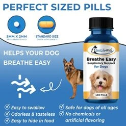 BestLife4Pets Breathe Easy Respiratory Support For Dog - All-Natural All-in-One Pet Supply For Natural Relief For Kennel Cough, Runny Nose, Sneezing And Sinus Congestion - Easy To Use Pills -Zoo Shop 51jbqh13gVL