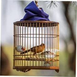 25 Pcs Parrot Feeding Box Hamster Accessories Chicken Accessories Bunny Feeder Dog Crate Bowl Bird Bowls For Cage Bird Food Container Bird Water Bowl Bird Accessory Parrot Feeder -Zoo Shop 51jdXrv8GKL