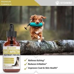 Natural Yeast Infection Treatment For Dogs | Supports Healthy Itch Relief, Inflammation Relief, Allergy Relief & More | Dog Yeast Ear Infection Treatment | Dog Itch Relief | Dog Allergy Relief -Zoo Shop 51jfB0uJW7L