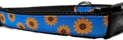 Autumn Dog Collar, Caninedesign, Fall, 1 Inch Wide, Adjustable, Nylon, Medium And Large (Fox, Large 15-22") -Zoo Shop 51jja0n7D L. AC 1