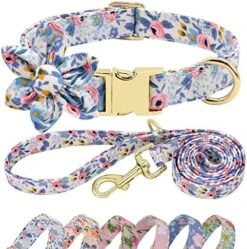 Beirui Cute Girl Dog Collar And Leash Set For Female Dogs- Floral Dog Collar With Flower For Small Medium Large Dogs Puppy, M:Neck 13-21", Leash 5FT, Purple-1 -Zoo Shop 51k3Z67XkNL. AC