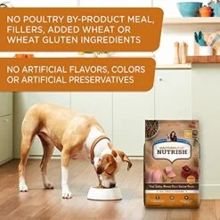 Rachael Ray Nutrish Dry Dog Food, Turkey, Brown Rice & Venison Recipe For Weight Management, 13 Pounds -Zoo Shop 51kQoxYCe7S