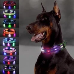 Joytale Light Up Dog Collars Rechargeable, High Visibility LED Dog Collar for Pet Night Walking, 3 Flash Modes, Rainproof PVC Glow Collar Adjustable for Small Medium Large Dogs, Teal, L -Zoo Shop 51kXDNu a5L. AC 1