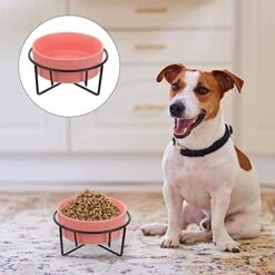 Hemobllo 1 Set Of Ceramic Pet Bowl Pet Feeder Bowl With Stand Pet Supplies 10 Hemobllo 1 Set Of Ceramic Pet Bowl Pet Feeder Bowl With Stand Pet Supplies -Zoo Shop 51kvWaxX26L