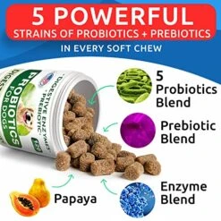 Dog Probiotics Chews - Gas, Diarrhea, Allergy, Constipation, Upset Stomach Relief, With Digestive Enzymes + Prebiotics - Chewable Fiber Supplement - Improve Digestion, Immunity - Made In USA - 120 Ct -Zoo Shop 51lFgZFgJxL