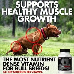 Vita Bully Vitamins For Bully Breeds: Pit Bulls, American Bullies, Exotic Bullies, Bulldogs, Pocket Bullies, Made In The USA (60 Vitamins) -Zoo Shop 51lLcgw87SL