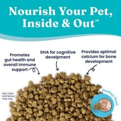 Solid Gold Dry Puppy Food - Made With Real Chicken & Nutritious Superfoods - Love At First Bark Grain Free Puppy Dry Food To Promote Healthy Growth, High Energy And Gut Wellness -Zoo Shop 51lYsZqL9vL