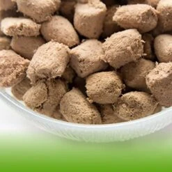 Northwest Naturals Freeze Dried Diet For Cats – Chicken Cat Food – Grain-Free, Gluten-Free Pet Food, Cat Training Treats – 11 Oz. -Zoo Shop 51lfpxPsuML