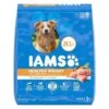 IAMS Adult Healthy Weight Control Dry Dog Food With Real Chicken, 29.1 Lb. Bag
