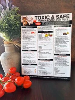 TLC Safety By Design Premium 8.5” X 11” Magnet Toxic Harmful And Safe Foods For Pets Fridge Safety Dogs Cats Poison Emergency Large Format Veterinarian Approved (Quantity 1) -Zoo Shop 51lrM1TvqqL