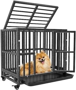 Heavy Duty Dog Crate - For Small Dogs Indestructible Pet Cage Indoor/Outdoor Strong Metal Kennel With Lockable Wheels Double Doors And Removable Trays(24in) -Zoo Shop 51lzs9Dld4L. AC