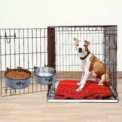 SubClap Kennel Water Bowl, No Spill And Detachable Dog Crate Water Food Bowl, Hanging Pet Cage Bowl With Clamp Holder, 2 Stainless Steel Pets Bowls For Medium Large Small Dogs & Cats -Zoo Shop 51mN7awZjCL