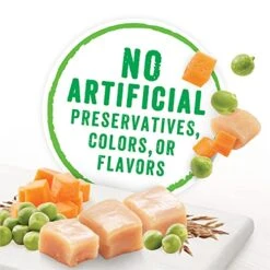 Purina Beneful Wet Dog Food, Chopped Blends With Chicken - 10 Oz. Tubs (Pack Of 8) -Zoo Shop 51mW0DX1nVS