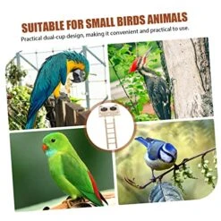 EVANEM 1 Set Feeder Parakeet Perch Humming Bird Feeder Stainless Steel Containers Cage Pet Food Container Bird Food Feeder Pet Parrot Playstand Parrot Eating Bowl Parrot Feeder Birds Tray -Zoo Shop 51mWvGNq5WL