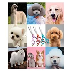 Office Scissors,Craft Scissors,High-end Pet Grooming Scissors Color Grooming Scissors Small Mouth Finishing Scissors Up And Down Double Use Scissors -Zoo Shop 51muM9iT4PS