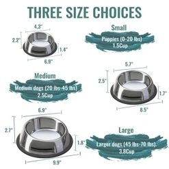 Nicelock Stainless Steel Slanted Dog Bowl(1 Pack), Removable Non-Slip Rubber Ring, Stackable Pet Bowls Feeder & Water Dish(Medium-2.5Cup) -Zoo Shop 51n6HEUqjAL