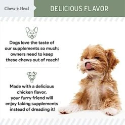Chew + Heal All In 1 Dog Vitamin - 120 Soft Chew Treats - Chewable Multivitamin With Probiotics, Digestive Enzymes, For Skin And Coat, Hip And Joint Support - With Omega, Calcium - Made In The USA -Zoo Shop 51n9AmiAHBL