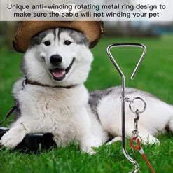 16.5ft (5m) Dog Tie Out Cable With 18 Inch Spiral Ground Stake Spike Out For Outdoor Yard And Camping Small To Medium Dogs -Zoo Shop 51nDOY2YPcL