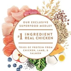 NUTRO ULTRA Adult High Protein Natural Dry Dog Food With A Trio Of Proteins From Chicken, Lamb And Salmon, 15 Lb. Bag -Zoo Shop 51nFNaVW0jL 1