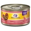 Wellness Complete Health Natural Grain Free Wet Canned Cat Food, Sliced Salmon Entree, 3-Ounce Can (Pack Of 24)